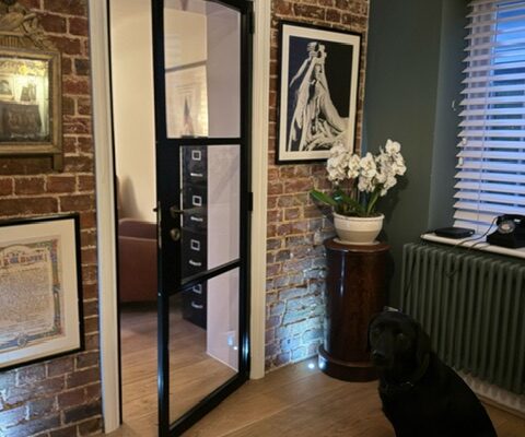 Single 3 pane door